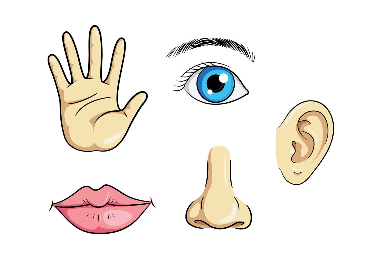 notfallkoffer_inhalt_sinneswahrnehmung